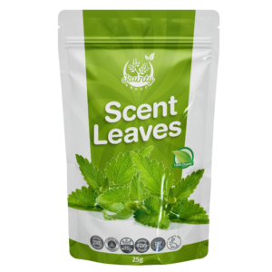 Scent Leaves